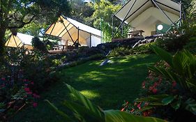 Luxury Eco